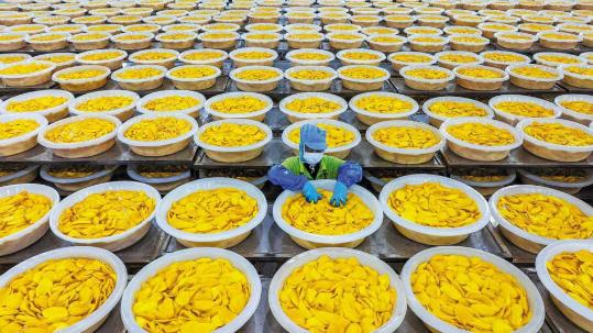 Experts praise move to elevate free trade area