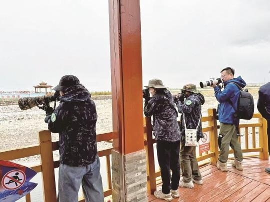 Bird-watchers flock to Qinghai Lake event