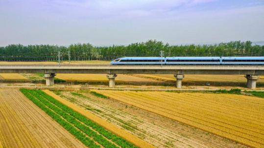 Bullet trains streak through golden wheat fields in Shanxi