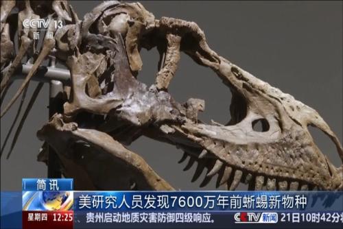 美研究人员发现7600万年前蜥蜴新物种