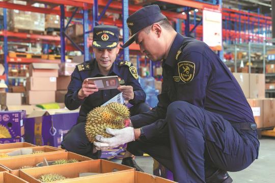 Safety-first approach ensures export quality