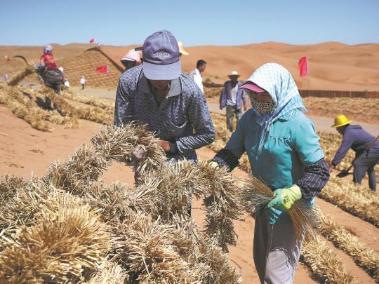 Ningxia curbs expansion of Tengger Desert