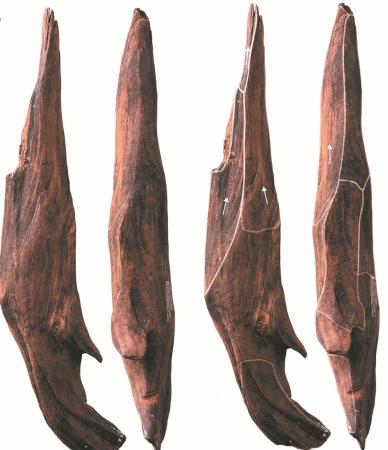 300,000-year-old wooden tools found