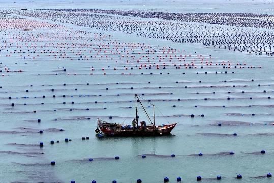 Marine economy highlighted