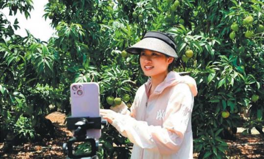 Lychee grower enjoys fruits of global recognition