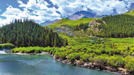 Researchers help save Qilian's ecosystem