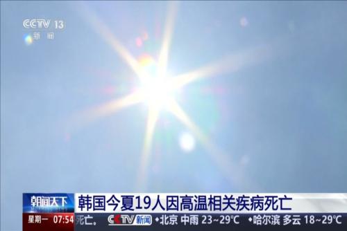 韩国今夏19人因高温相关疾病死亡