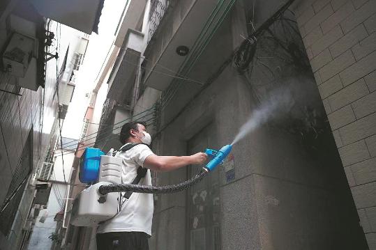 Chikungunya battle requires long-term vigilance, say experts
