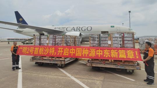 China exports Guangming 2 broiler chickens to Saudi Arabia