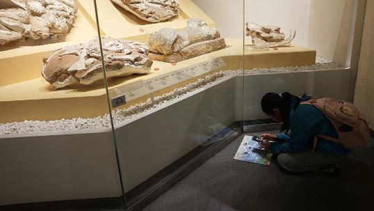 Beijing to boost relic research, technological displays