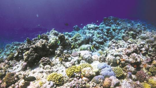 A timely marine ecology conservation move