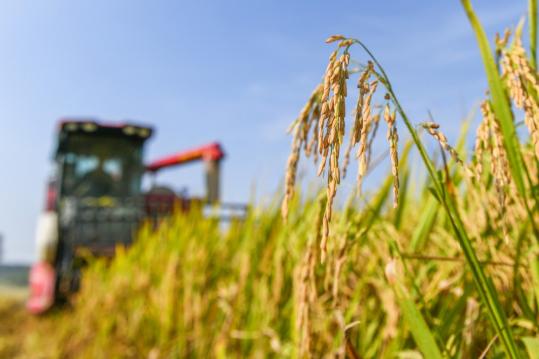 Tech helps agriculture record new highs