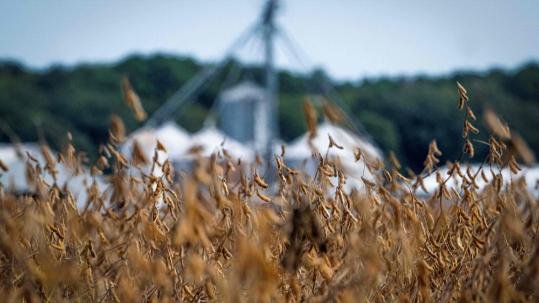 U.S. agriculture takes a double punch from shutdown and tariffs