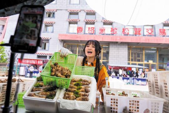 New type of matsutake hunters and traders