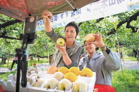 Women shine in digital job market