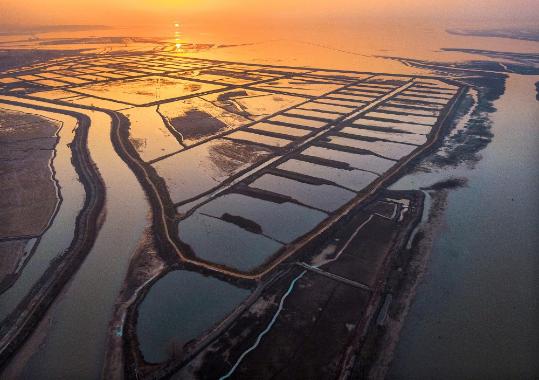 China adds 22 sites to wetlands of national importance list