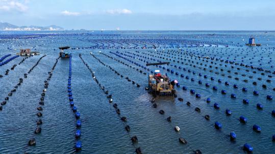 China has world's most comprehensive maritime judicial system: report