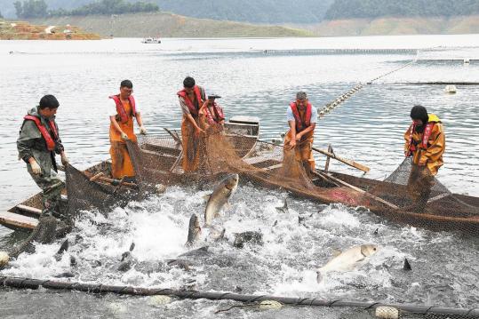 Catching every last drop