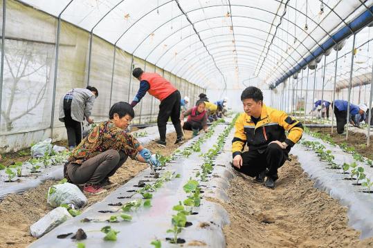 Watershed grows green shoots in rural Guizhou
