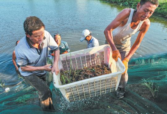 Aquaculture reels in economic opportunities