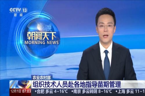 農(nóng)業(yè)農(nóng)村部：組織技術(shù)人員赴各地指導(dǎo)苗期管理