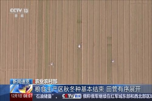 農(nóng)業(yè)農(nóng)村部：糧食主產(chǎn)區(qū)秋冬種基本結(jié)束 田管有序展開