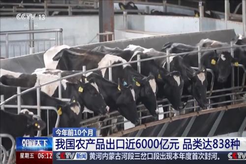 今年前10个月：我国农产品出口近6000亿元 品类达838种