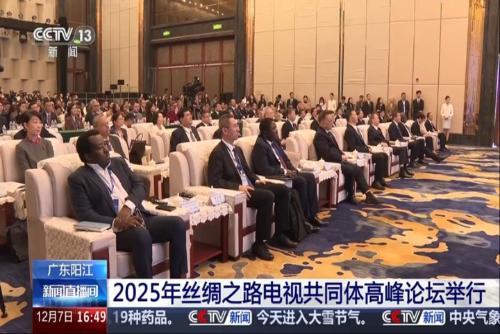 廣東陽江：2025年絲綢之路電視共同體高峰論壇舉行