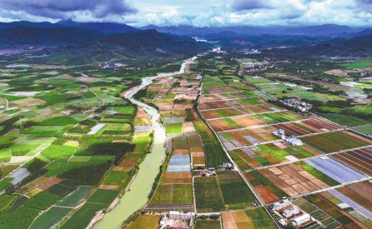 Seeds of security take root in the south