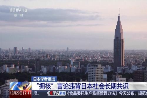 日本学者指出：“拥核”言论违背日本社会长期共识