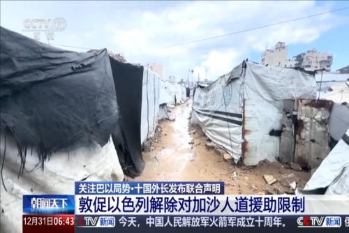 关注巴以局势·十国外长发布联合声明：敦促以色列解除对加沙人道援助限制