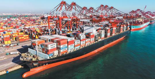 Resilient Chinese economy quells volatility