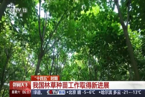 “十四五”时期 我国林草种苗工作取得新进展