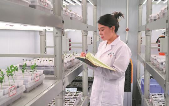 Science fuels farm yields in Shaanxi