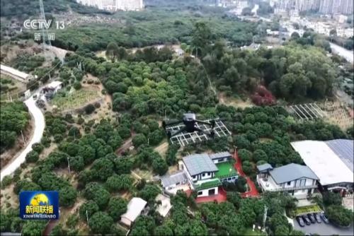 做强特色优势产业 全面推进乡村振兴