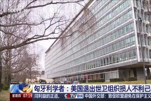 匈牙利学者：美国退出世卫组织损人不利己