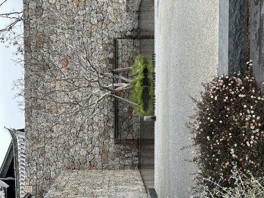 Where tradition meets tranquility: A Lijiang staycation