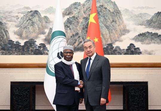 China, OIC vow to deepen partnership