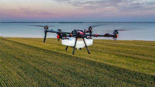 Tech cultivating China's rural vitalization