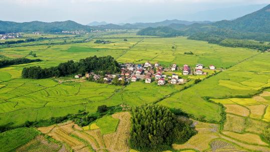 China outlines key tasks for agricultural modernization, rural revitalization
