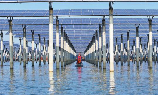 Solar seen outshining coal in '26