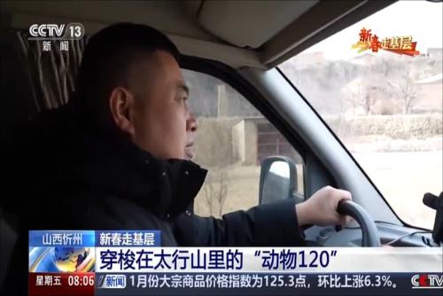 山西忻州：穿梭在太行山里的“动物120”