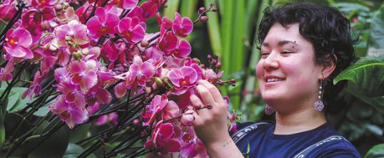 Interest in China's orchids set to bloom