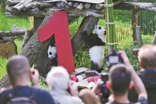 Pandas bring Beijing and Berlin closer