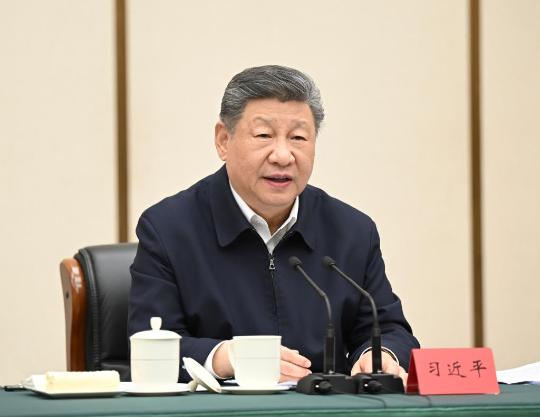Xi urges efforts to build Xiong'an New Area into innovation hub, model of high-quality development