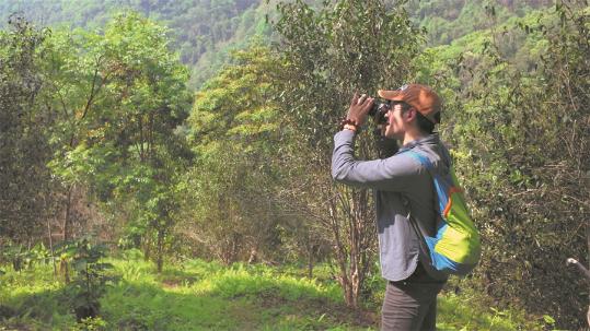 Blending tea culture with travel