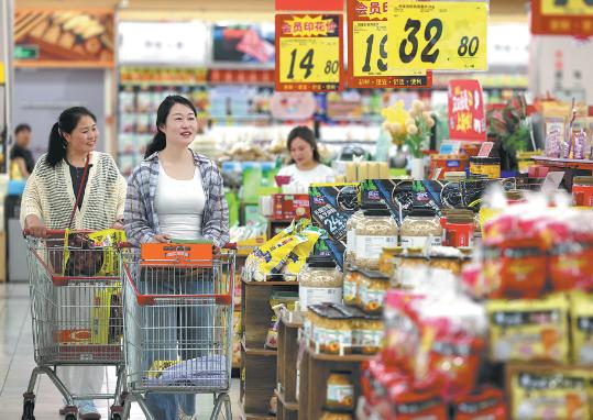 Experts urge swift rollout of household income plan