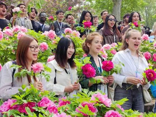 Luoyang, the peony city that stole a British girl's heart