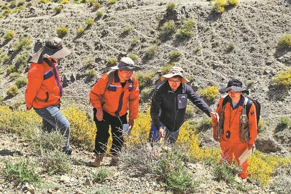 Geologists from the No 6 Geological Team of the Shandong Provincial Bureau of Geology and Mineral Resources conduct tungsten ore exploration in Jinghe county, Xinjiang Uygur autonomous region, in 2025. The team has expanded its search from gold to associated tungsten deposits, which often occur in the same geological settings. (Photo provided to China Daily)