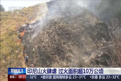 印尼山火肆虐 过火面积超10万公顷